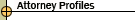 Attorney Profiles